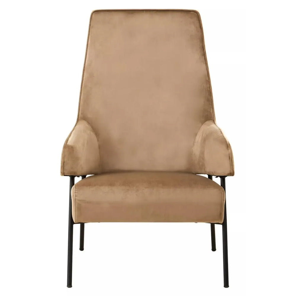 Rosabell Dining Chair – Mink Velvet