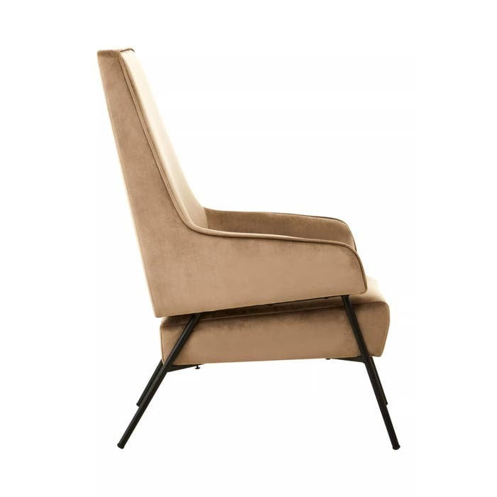 Rosabell Dining Chair – Mink Velvet