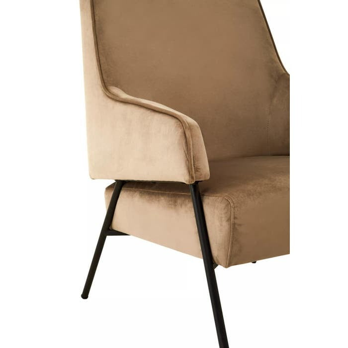 Rosabell Dining Chair – Mink Velvet